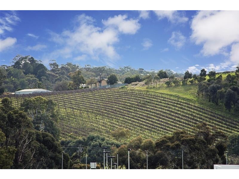 Mclaren Vale SA 5171