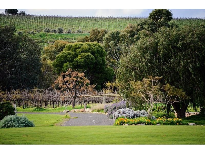 Mclaren Vale SA 5171