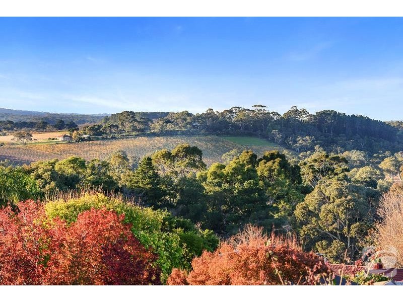 16 Chapman Avenue, Mclaren Vale SA 5171