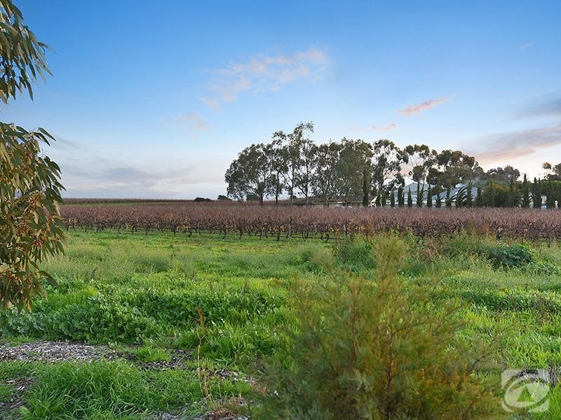 15 Gilligan Grove, Mclaren Flat SA 5171