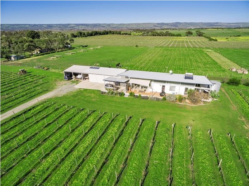 21 Sherriff Road, Maslin Beach SA 5170