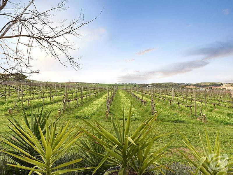 21 Sherriff Road, Maslin Beach SA 5170