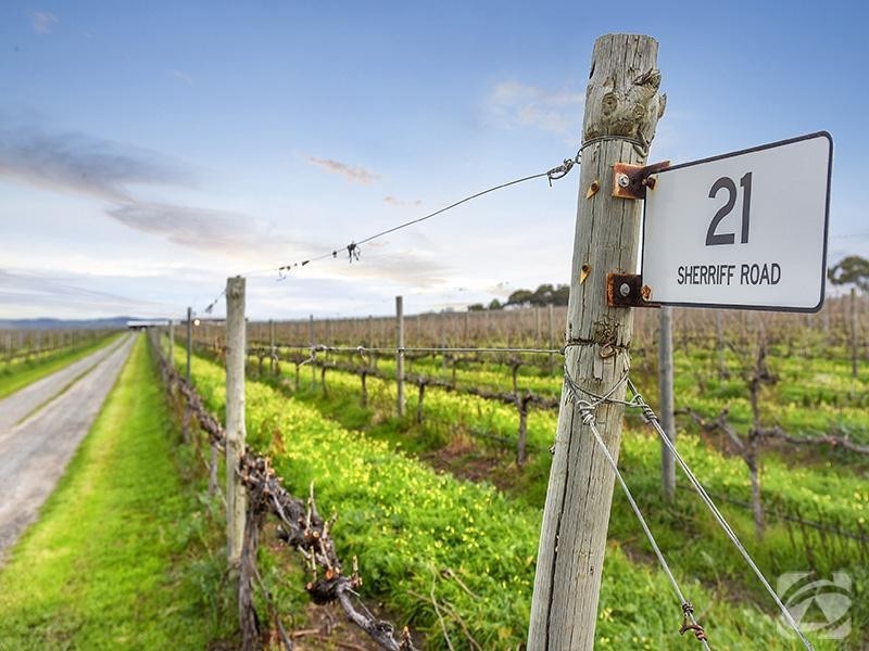 21 Sherriff Road, Maslin Beach SA 5170