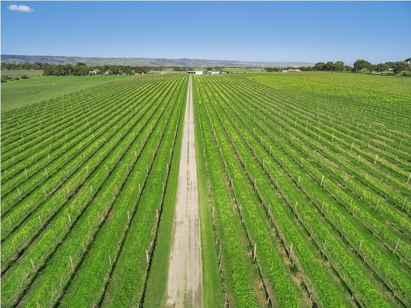 21 Sherriff Road, Maslin Beach SA 5170