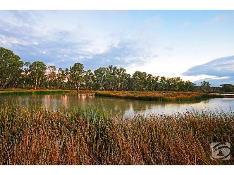 Lot 311 Rosella Rise, Mannum SA 5238