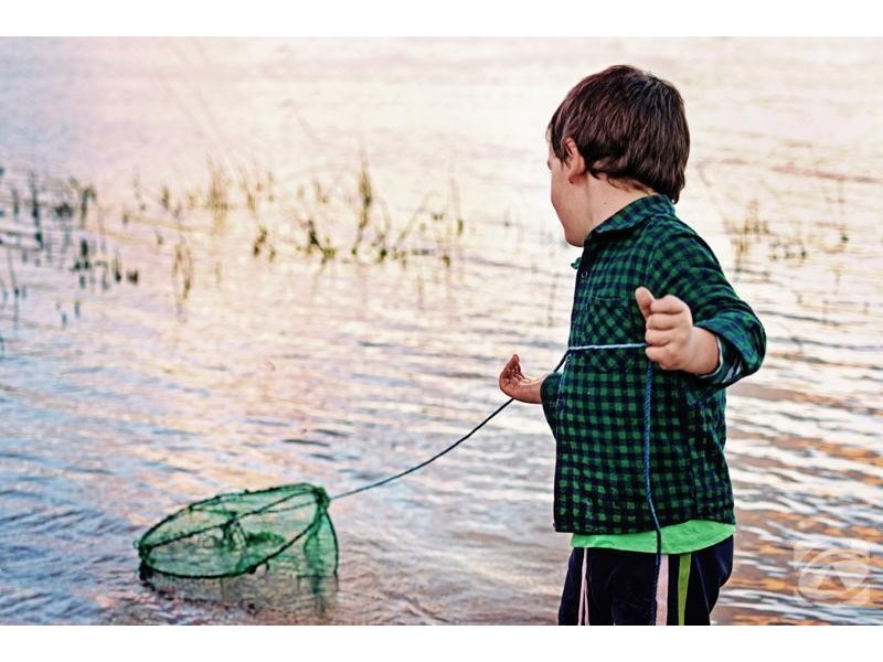 Lot 311 Rosella Rise, Mannum SA 5238