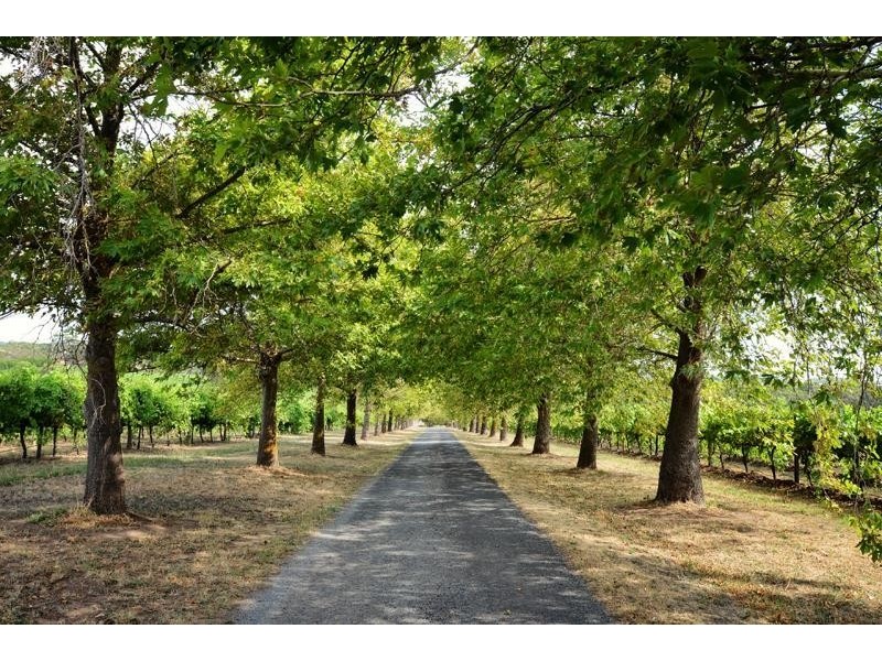 54 High Street, Willunga SA 5172