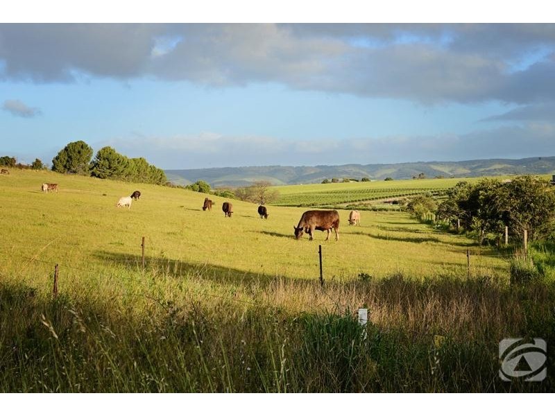 272 Bayliss Road, Mclaren Vale SA 5171