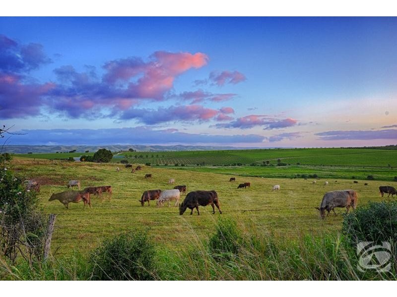 272 Bayliss Road, Mclaren Vale SA 5171