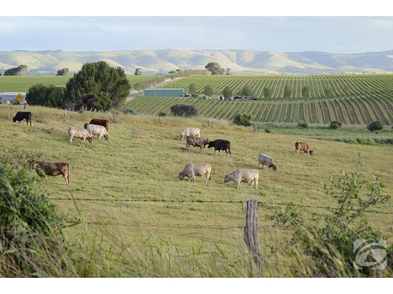 272 Bayliss Road, Mclaren Vale SA 5171