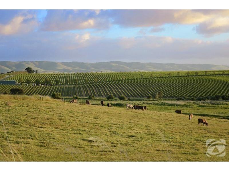 272 Bayliss Road, Mclaren Vale SA 5171