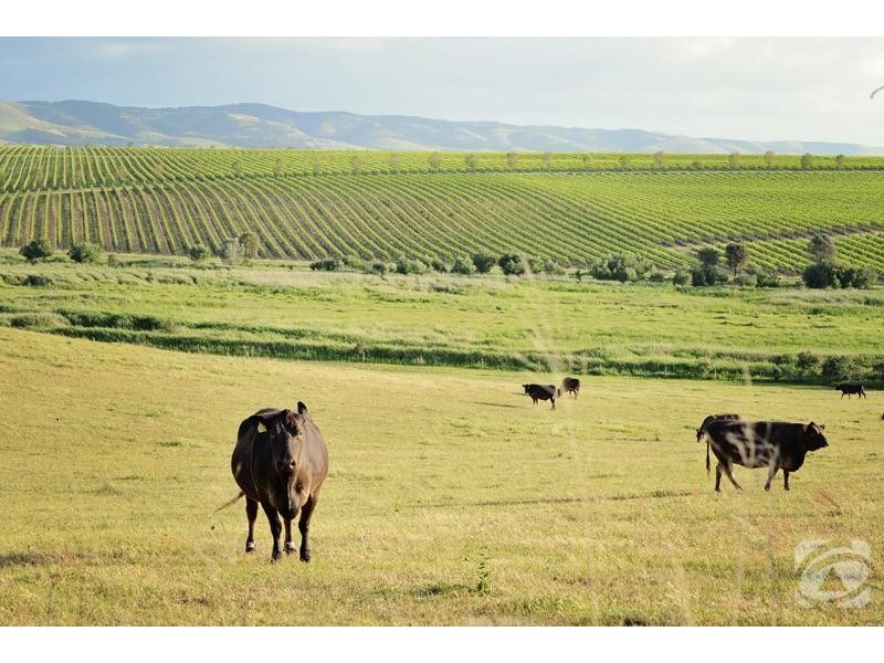 272 Bayliss Road, Mclaren Vale SA 5171