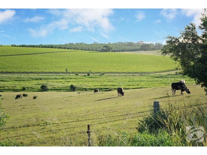 272 Bayliss Road, Mclaren Vale SA 5171