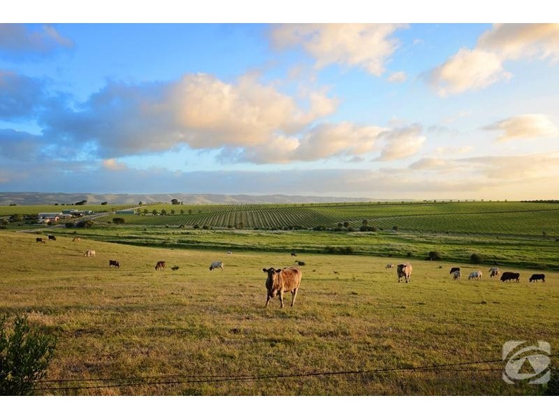 272 Bayliss Road, Mclaren Vale SA 5171