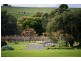 Lot 10 Penfold Way, Mclaren Vale SA 5171