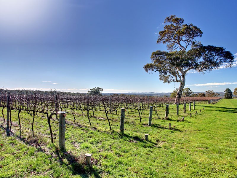 Lot 1 Toops Hill  Road, Kangarilla SA 5157