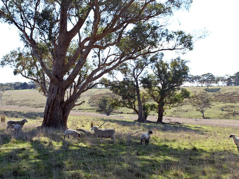 Lot 1 Toops Hill  Road, Kangarilla SA 5157