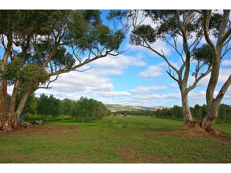 363 Aldinga Road, Willunga SA 5172