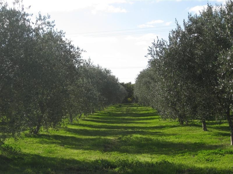 363 Aldinga Road, Willunga SA 5172