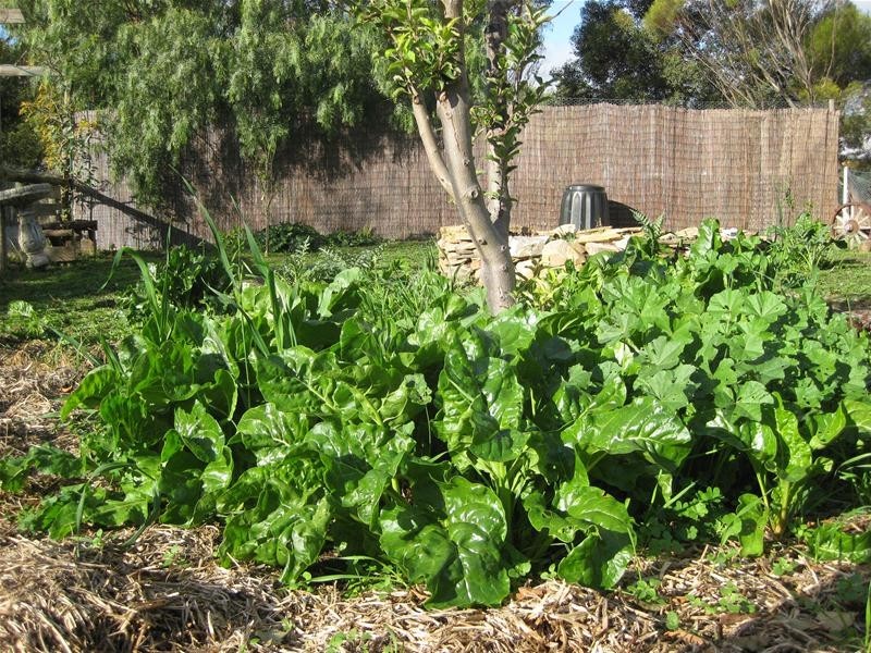 363 Aldinga Road, Willunga SA 5172