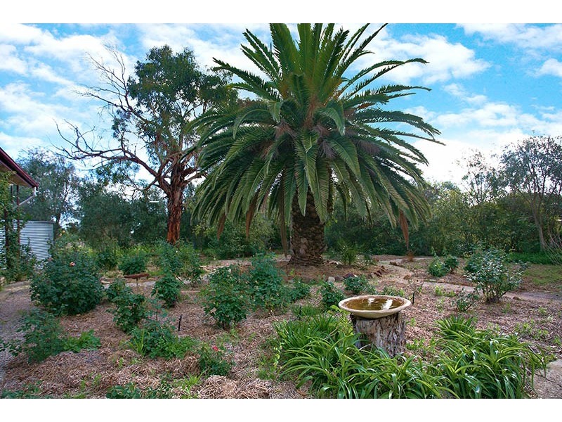 363 Aldinga Road, Willunga SA 5172