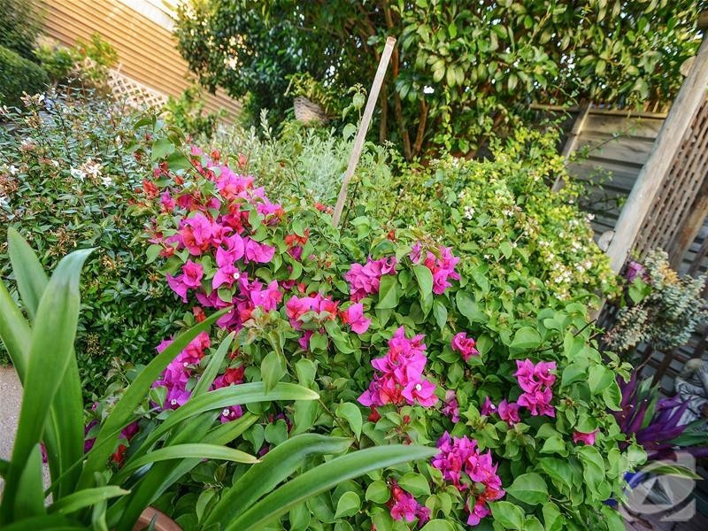 12 Wooldridge Street, Morphett Vale SA 5162