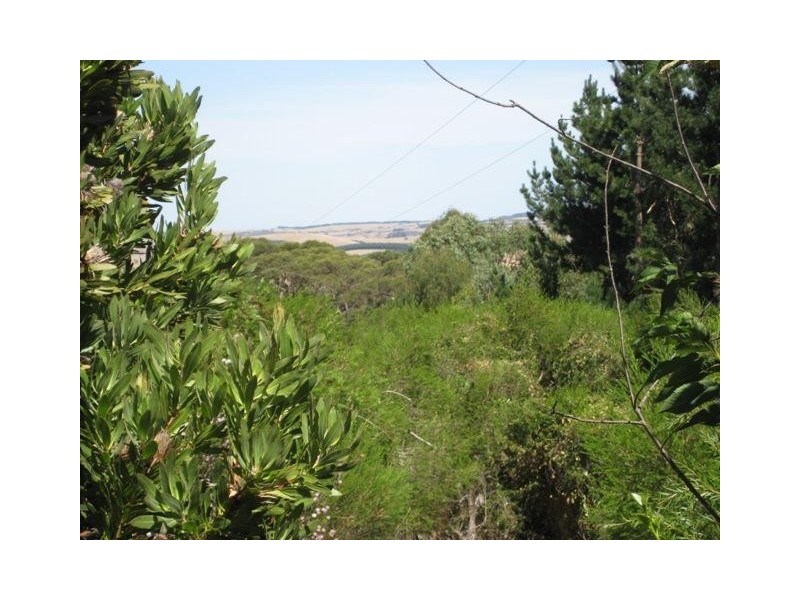 102 Jacobs Road, Mount Compass SA 5210