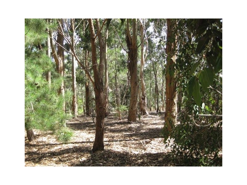 102 Jacobs Road, Mount Compass SA 5210