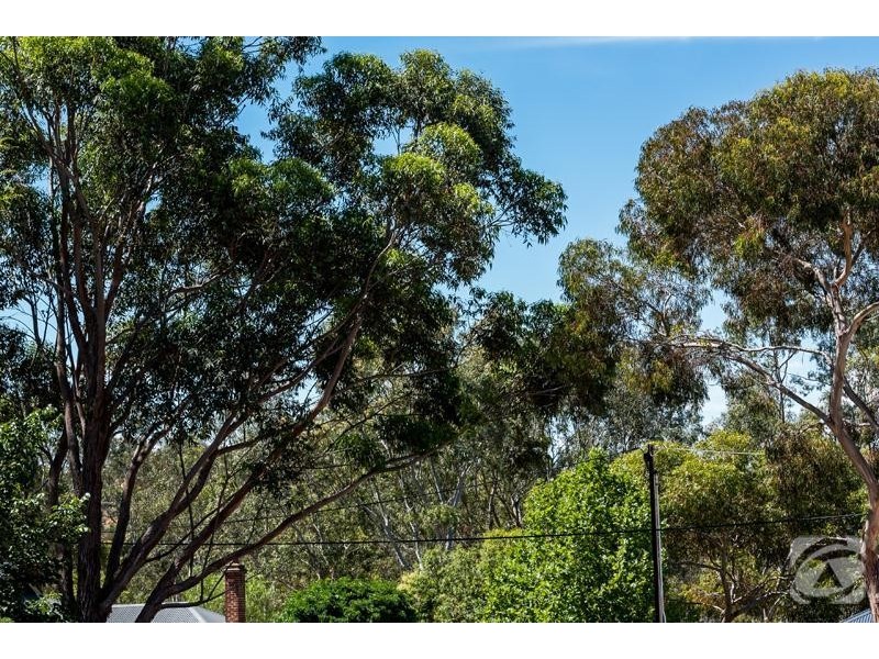 23 Railway Terrace, Mclaren Vale SA 5171