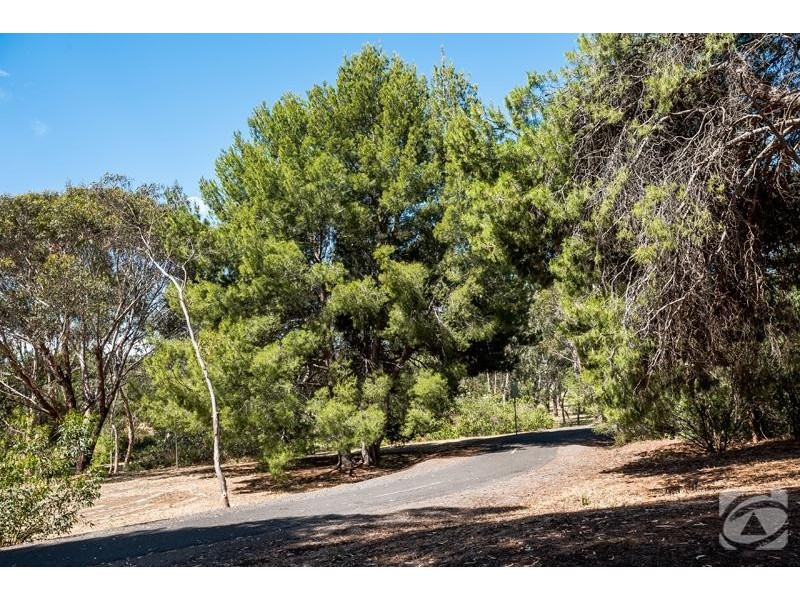 23 Railway Terrace, Mclaren Vale SA 5171