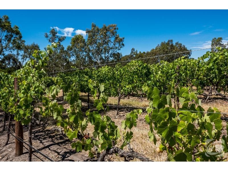 23 Railway Terrace, Mclaren Vale SA 5171