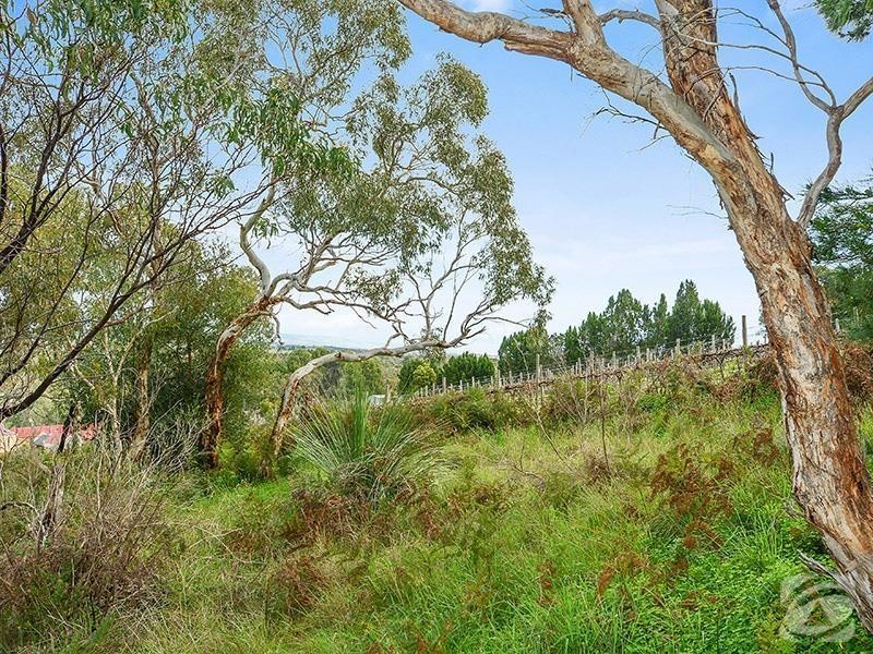 312 Moritz Road, Blewitt Springs SA 5171