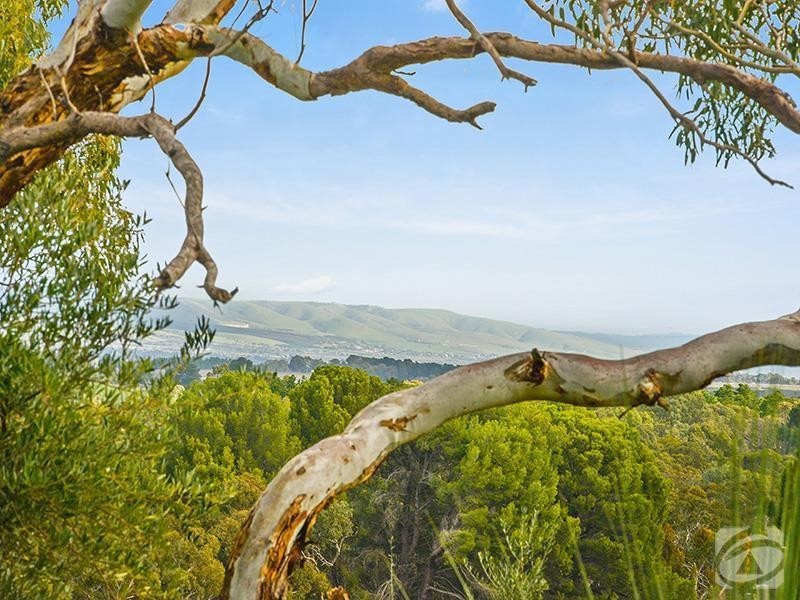 312 Moritz Road, Blewitt Springs SA 5171