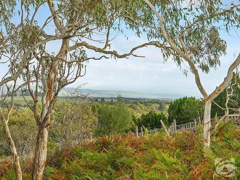 312 Moritz Road, Blewitt Springs SA 5171