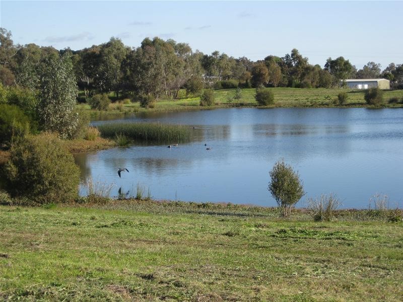 13 Swift Grove, Mclaren Flat SA 5171