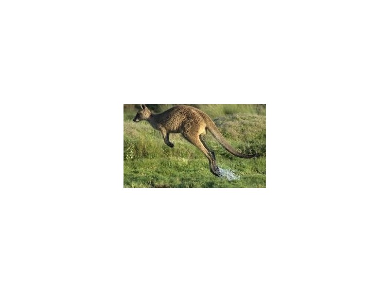 67 Pottery Road, Dingabledinga SA 5172