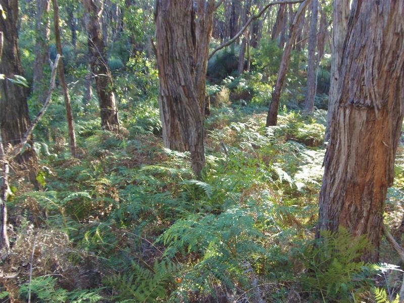 67 Pottery Road, Dingabledinga SA 5172