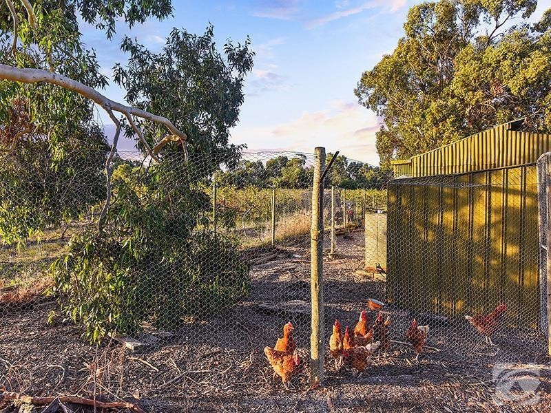 347 Schuller Road, Mclaren Vale SA 5171