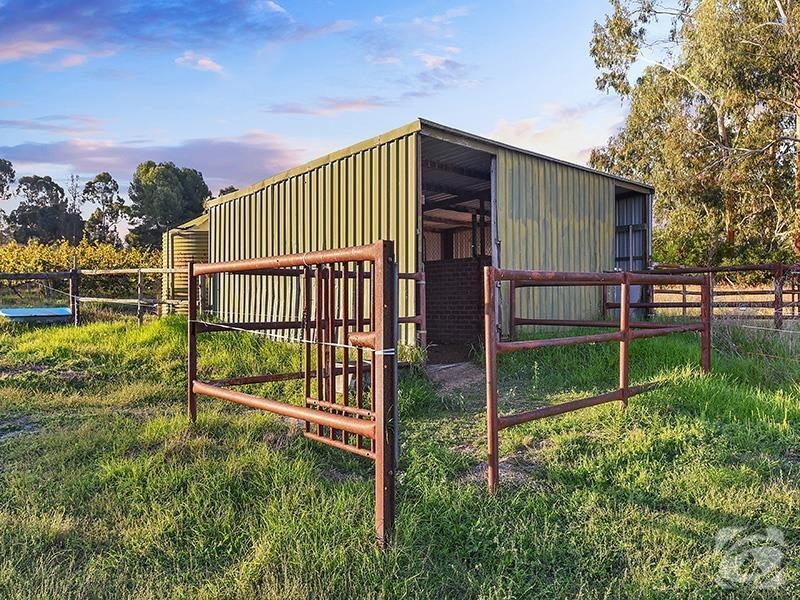 347 Schuller Road, Mclaren Vale SA 5171