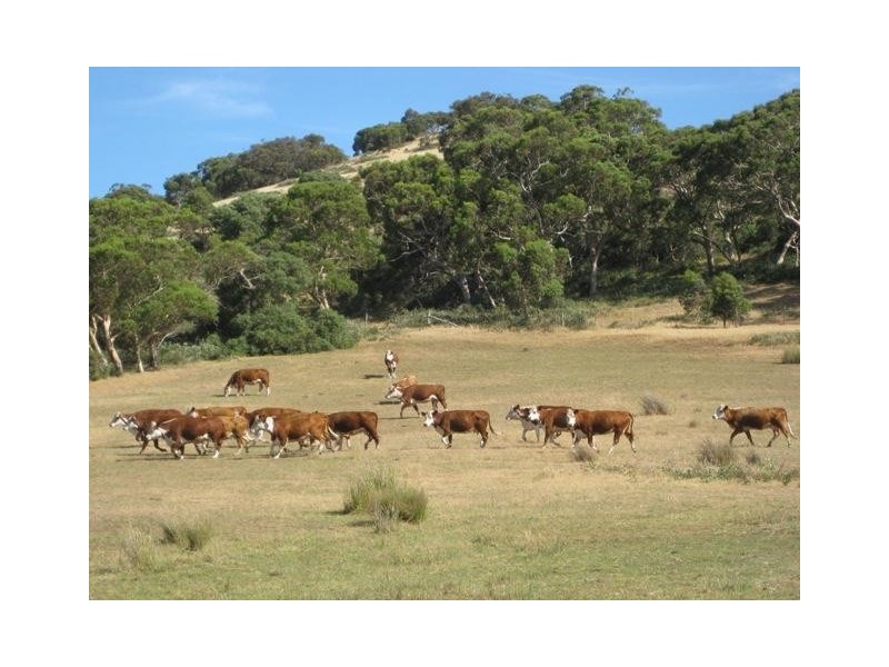 Lot 300 Enterprise Road, Mount Compass SA 5210