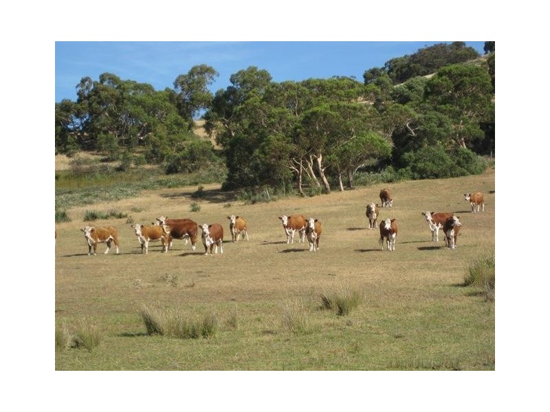 Lot 300 Enterprise Road, Mount Compass SA 5210