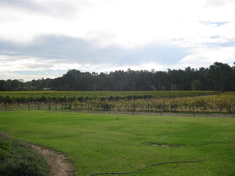 299 Kangarilla Road, Mclaren Flat SA 5171