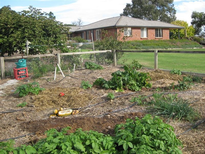 299 Kangarilla Road, Mclaren Flat SA 5171