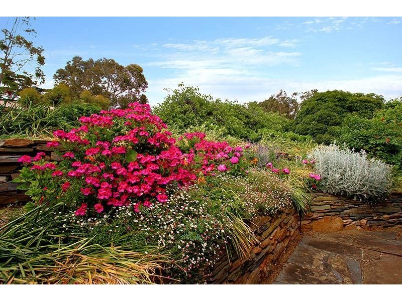 13 St Marys Street, Willunga SA 5172