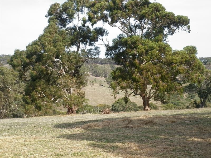 Sec 803 Off Dashwood Gully Road, Kangarilla SA 5157