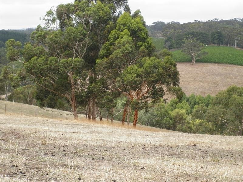 Sec 803 Off Dashwood Gully Road, Kangarilla SA 5157