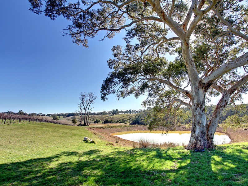 Lot 1 Toops Hill  Road, Kangarilla SA 5157