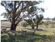 Lot 1 Toops Hill  Road, Kangarilla SA 5157