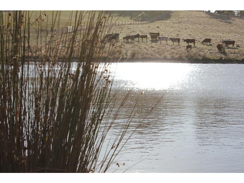 Lot 1 Toops Hill  Road, Kangarilla SA 5157