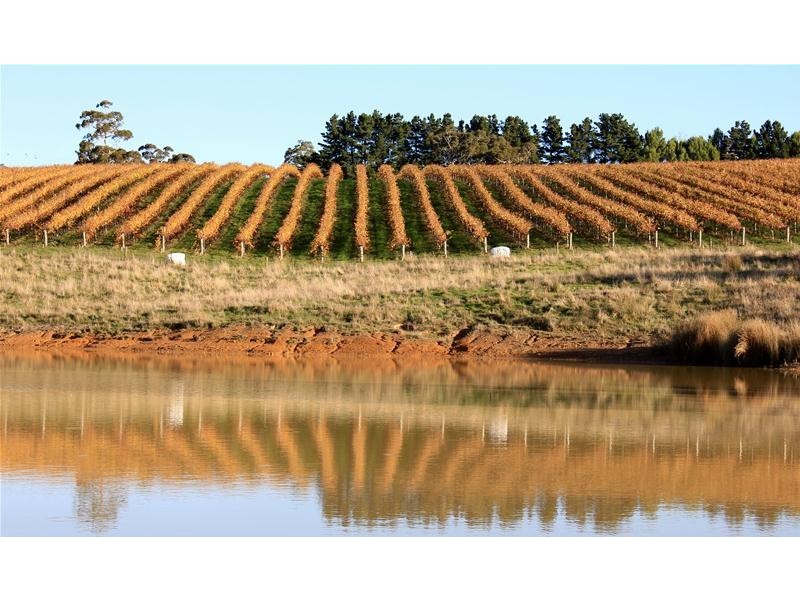 Lot 1 Toops Hill  Road, Kangarilla SA 5157